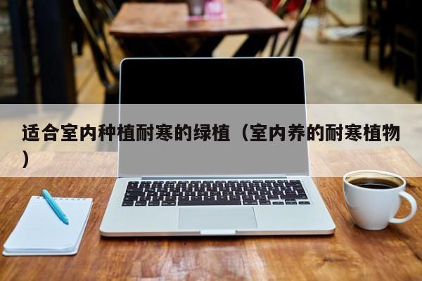 适合室内种植耐寒的绿植（室内养的耐寒植物）