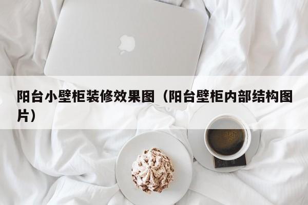 阳台小壁柜装修效果图（阳台壁柜内部结构图片）