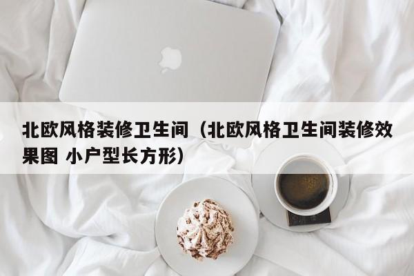 北欧风格装修卫生间（北欧风格卫生间装修效果图 小户型长方形）