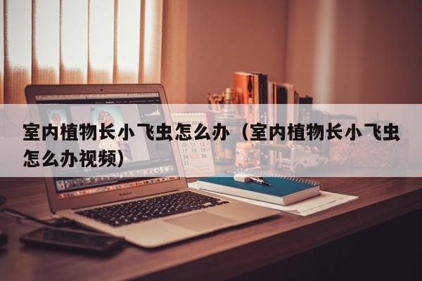 室内植物长小飞虫怎么办（室内植物长小飞虫怎么办视频）