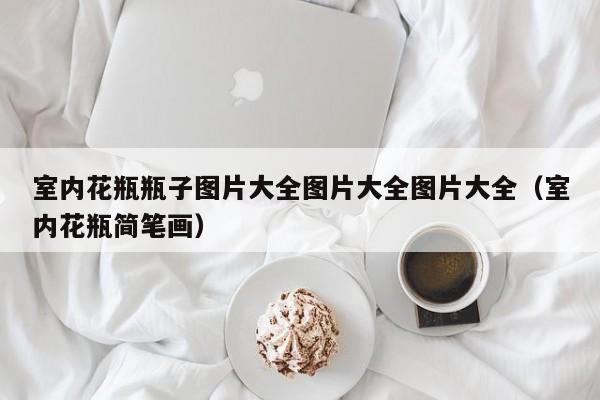 室内花瓶瓶子图片大全图片大全图片大全（室内花瓶简笔画）