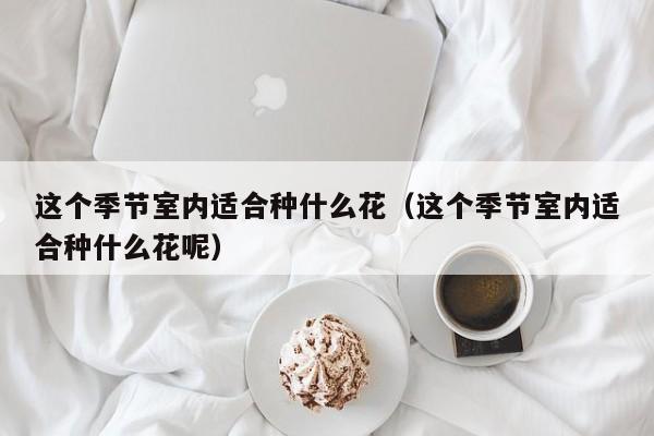 这个季节室内适合种什么花(这个季节室内适合种什么花呢) 这个季节室内适合种什么花(这个季节室内适合种什么花呢)