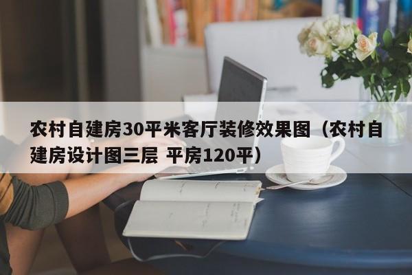 农村自建房30平米客厅装修效果图（农村自建房设计图三层 平房120平）