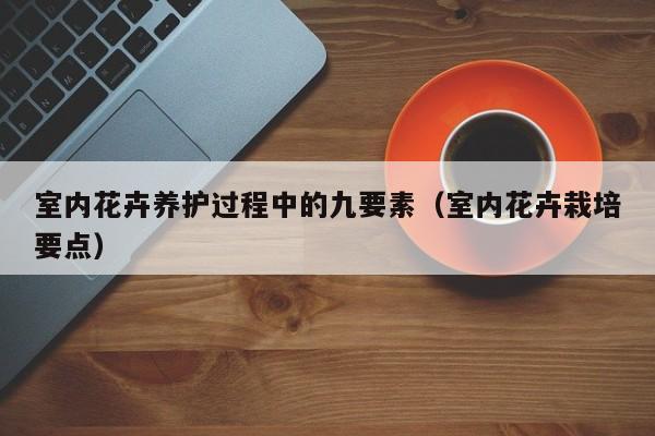 室内花卉养护过程中的九要素(室内花卉栽培要点) 室内花卉养护过程中的九要素(室内花卉栽培要点)