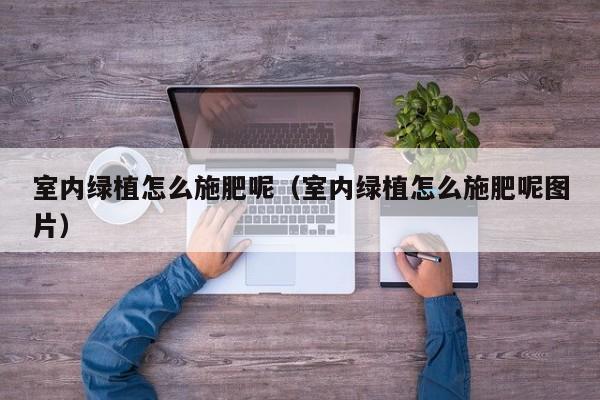 室内绿植怎么施肥呢(室内绿植怎么施肥呢图片) 室内绿植怎么施肥呢(室内绿植怎么施肥呢图片)