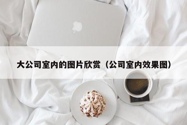 大公司室内的图片欣赏（公司室内效果图）