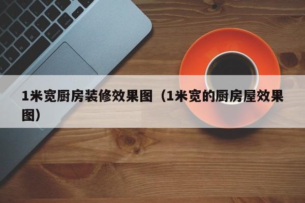 1米宽厨房装修效果图（1米宽的厨房屋效果图）