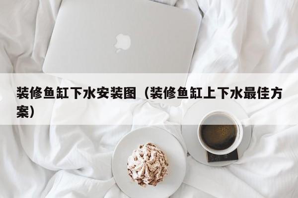 装修鱼缸下水安装图(装修鱼缸上下水最佳方案) 装修鱼缸下水安装图(装修鱼缸上下水最佳方案)