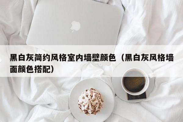 黑白灰简约风格室内墙壁颜色(黑白灰风格墙面颜色搭配) 黑白灰简约风格室内墙壁颜色(黑白灰风格墙面颜色搭配)