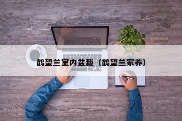 鹤望兰室内盆栽(鹤望兰家养) 鹤望兰室内盆栽(鹤望兰家养)