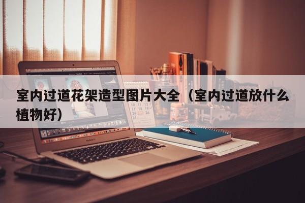 室内过道花架造型图片大全（室内过道放什么植物好）