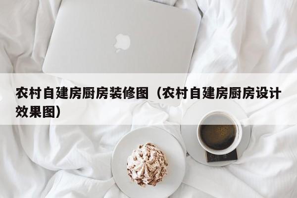 农村自建房厨房装修图（农村自建房厨房设计效果图）