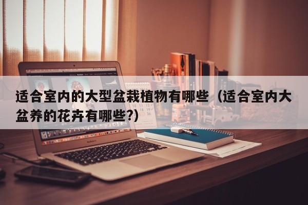 适合室内的大型盆栽植物有哪些（适合室内大盆养的花卉有哪些?）
