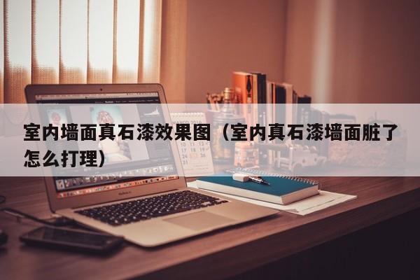 室内墙面真石漆效果图（室内真石漆墙面脏了怎么打理）