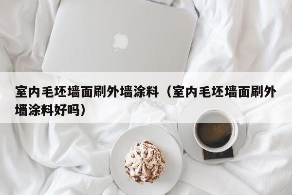 室内毛坯墙面刷外墙涂料（室内毛坯墙面刷外墙涂料好吗）