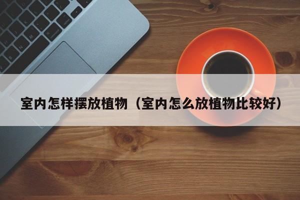室内怎样摆放植物（室内怎么放植物比较好）