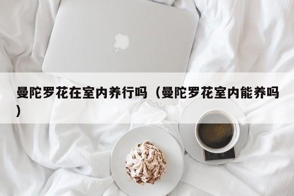 曼陀罗花在室内养行吗（曼陀罗花室内能养吗）