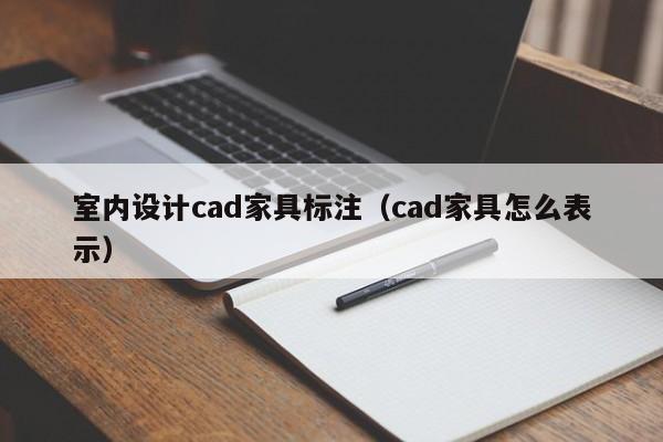 室内设计cad家具标注（cad家具怎么表示）