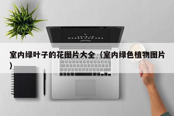 室内绿叶子的花图片大全（室内绿色植物图片）