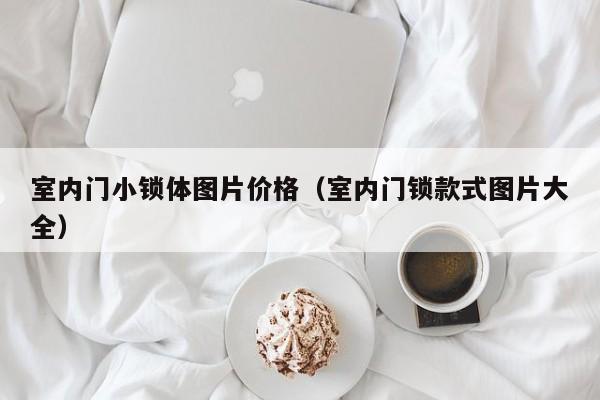 室内门小锁体图片价格（室内门锁款式图片大全）
