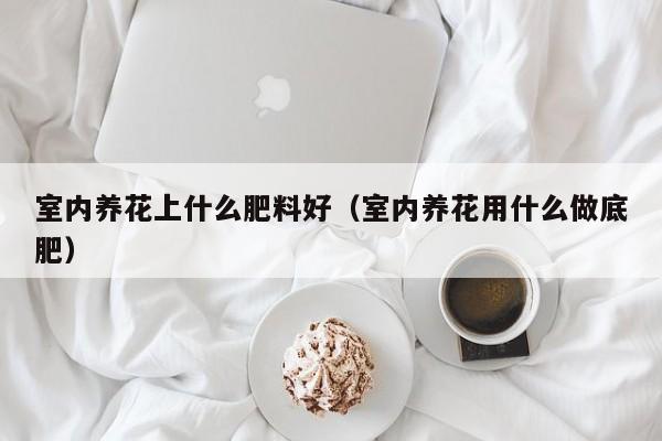 室内养花上什么肥料好（室内养花用什么做底肥）