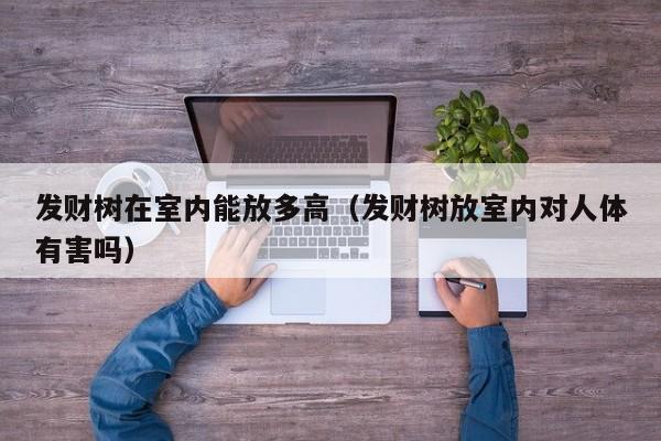发财树在室内能放多高(发财树放室内对人体有害吗) 发财树在室内能放多高(发财树放室内对人体有害吗)