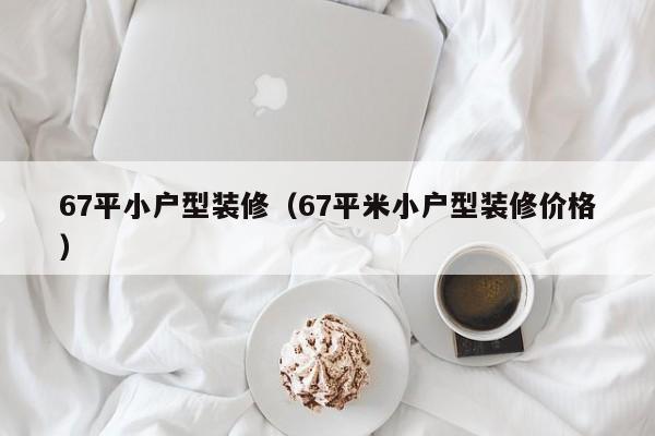 67平小户型装修（67平米小户型装修价格）