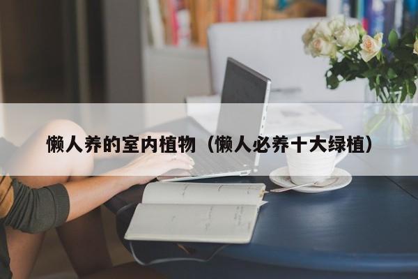 懒人养的室内植物（懒人必养十大绿植）