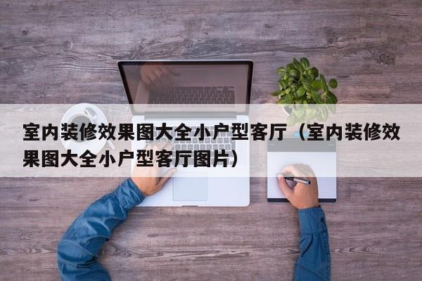 室内装修效果图大全小户型客厅（室内装修效果图大全小户型客厅图片）