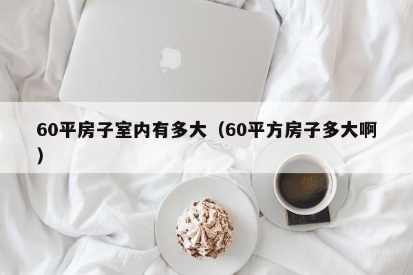 60平房子室内有多大（60平方房子多大啊）