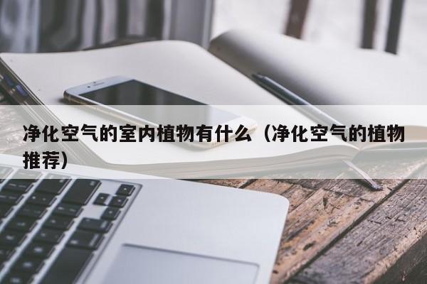 净化空气的室内植物有什么（净化空气的植物推荐）