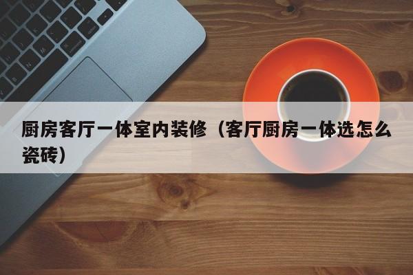 厨房客厅一体室内装修（客厅厨房一体选怎么瓷砖）