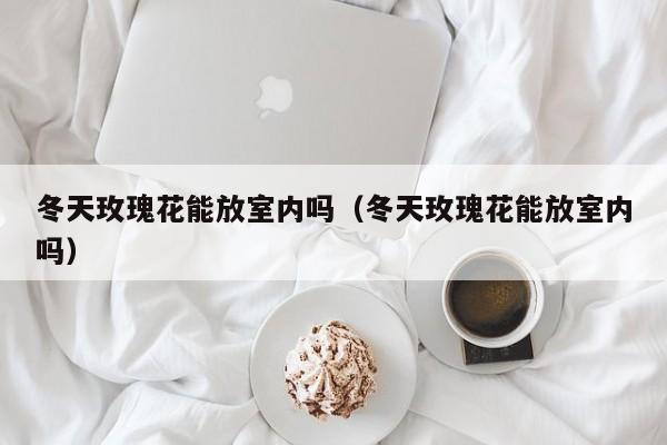 冬天玫瑰花能放室内吗（冬天玫瑰花能放室内吗）