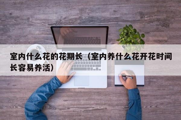 室内什么花的花期长（室内养什么花开花时间长容易养活）