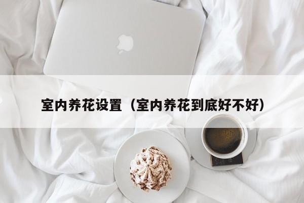 室内养花设置（室内养花到底好不好）