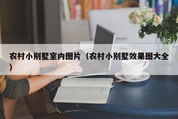 农村小别墅室内图片（农村小别墅效果图大全）
