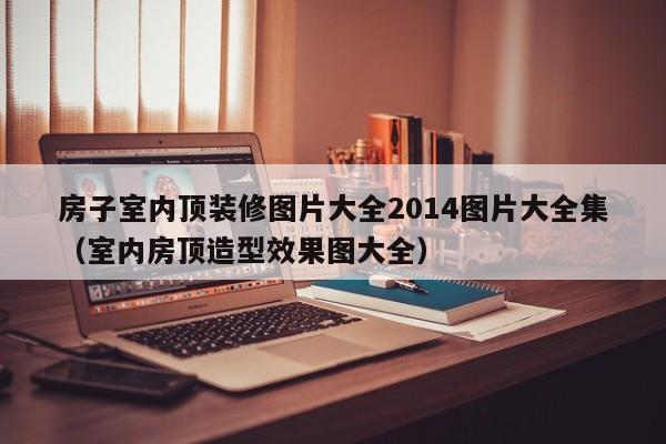 房子室内顶装修图片大全2014图片大全集（室内房顶造型效果图大全）