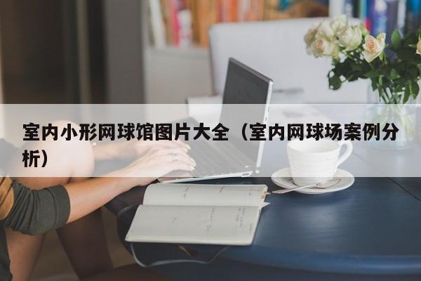 室内小形网球馆图片大全（室内网球场案例分析）