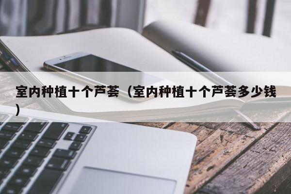 室内种植十个芦荟（室内种植十个芦荟多少钱）