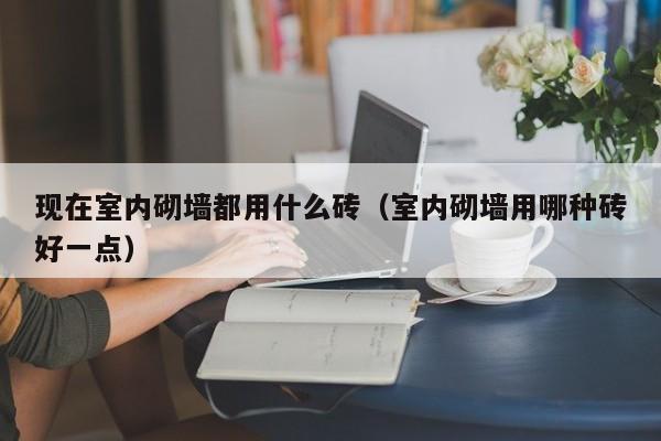 现在室内砌墙都用什么砖（室内砌墙用哪种砖好一点）