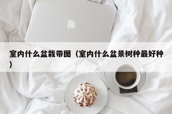 室内什么盆栽带图（室内什么盆景树种最好种）