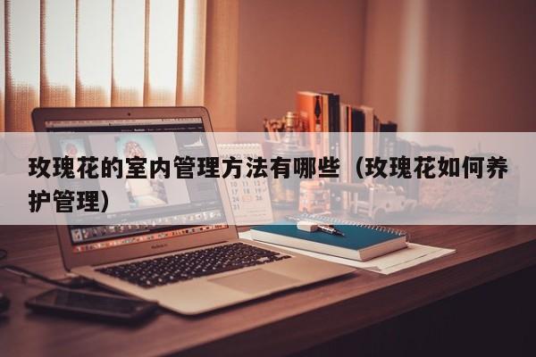 玫瑰花的室内管理方法有哪些（玫瑰花如何养护管理）