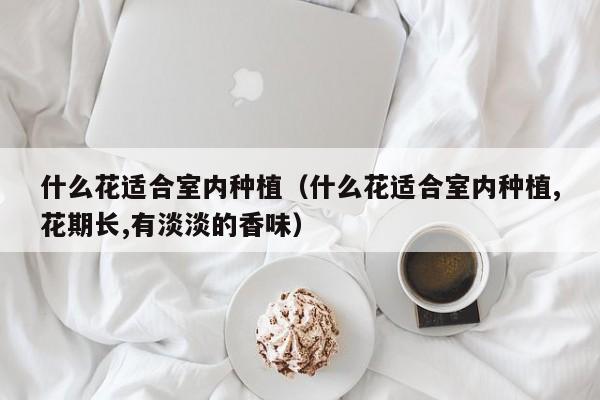 什么花适合室内种植(什么花适合室内种植,花期长,有淡淡的香味) 什么花适合室内种植(什么花适合室内种植,花期长,有淡淡的香味)