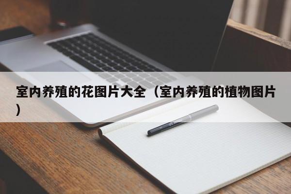 室内养殖的花图片大全（室内养殖的植物图片）