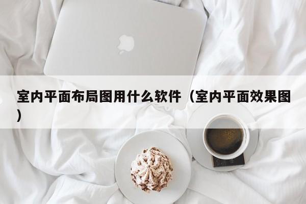 室内平面布局图用什么软件(室内平面效果图) 室内平面布局图用什么软件(室内平面效果图)