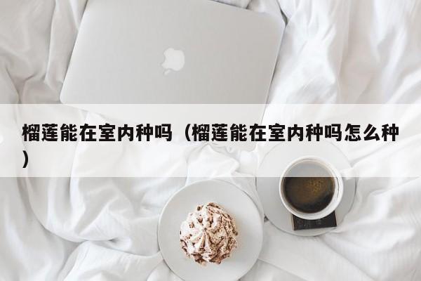 榴莲能在室内种吗(榴莲能在室内种吗怎么种) 榴莲能在室内种吗(榴莲能在室内种吗怎么种)
