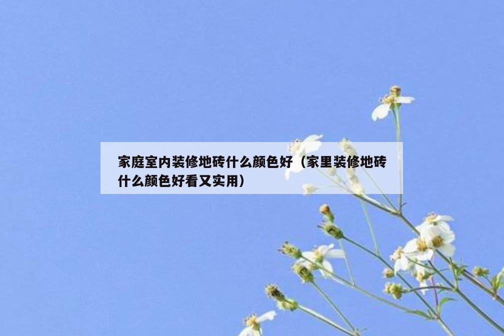 家庭室内装修地砖什么颜色好（家里装修地砖什么颜色好看又实用）