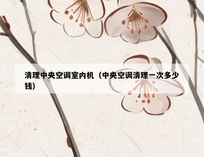 清理**空调室内机（**空调清理一次多少钱）