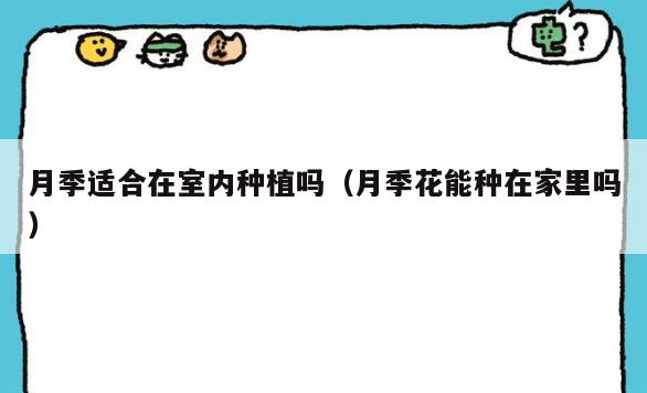 月季适合在室内种植吗（月季花能种在家里吗）