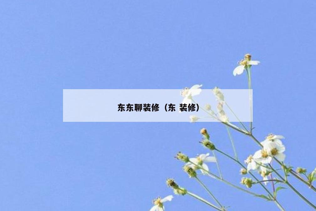 东东聊装修（东 装修）